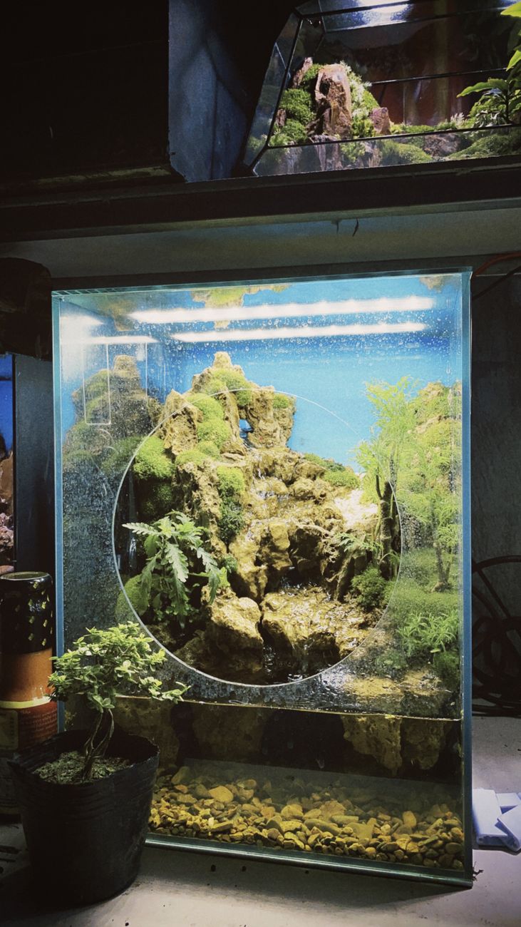 Advanced Aquascaping Design for Pathogen Mitigation