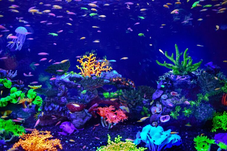 Top Aquarium Expos Southeast Asia