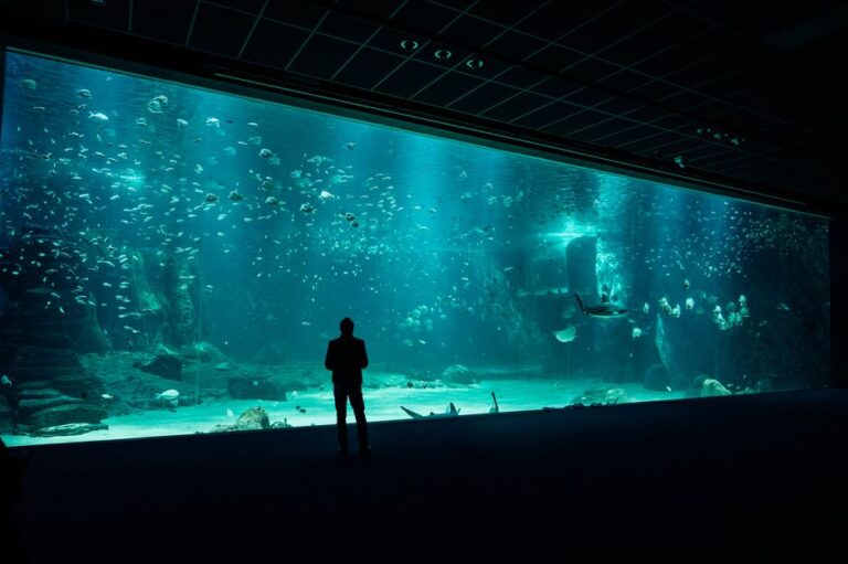 Exploring Bangkok’s Best Aquarium Stores