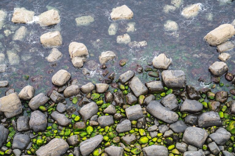 Geometric Harmony in Multi-Tiered Terraced Stone Aquascaping
