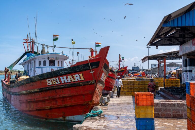 Innovations in Live Fish Shipping: Custom Protocols and Packing Methods