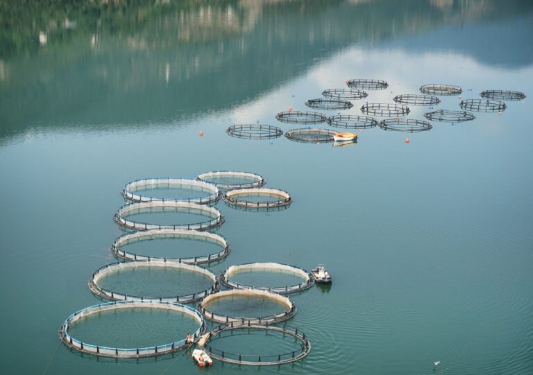 Aquaculture Sustainability Conventions Key Takeaways