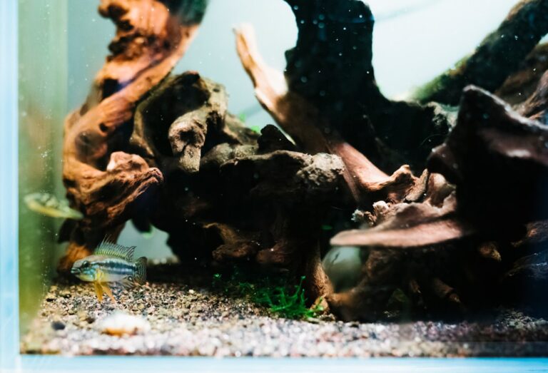 Six Months in the Mud: Why I Quit Light Sand for Good