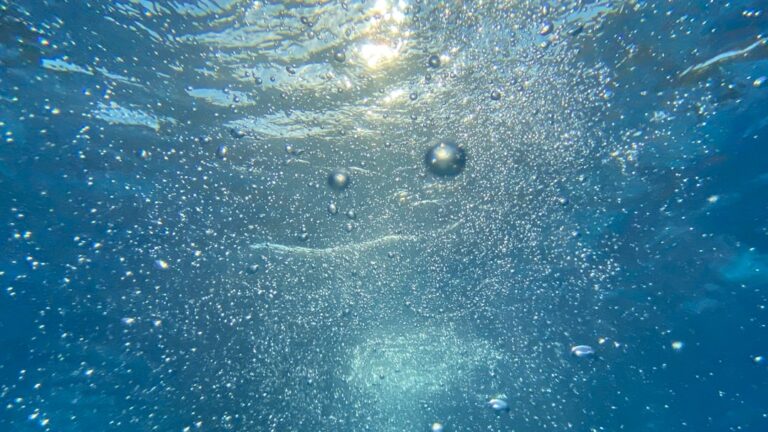 Your Sponge Filter Slowed to a Trickle — Here’s What’s Happening